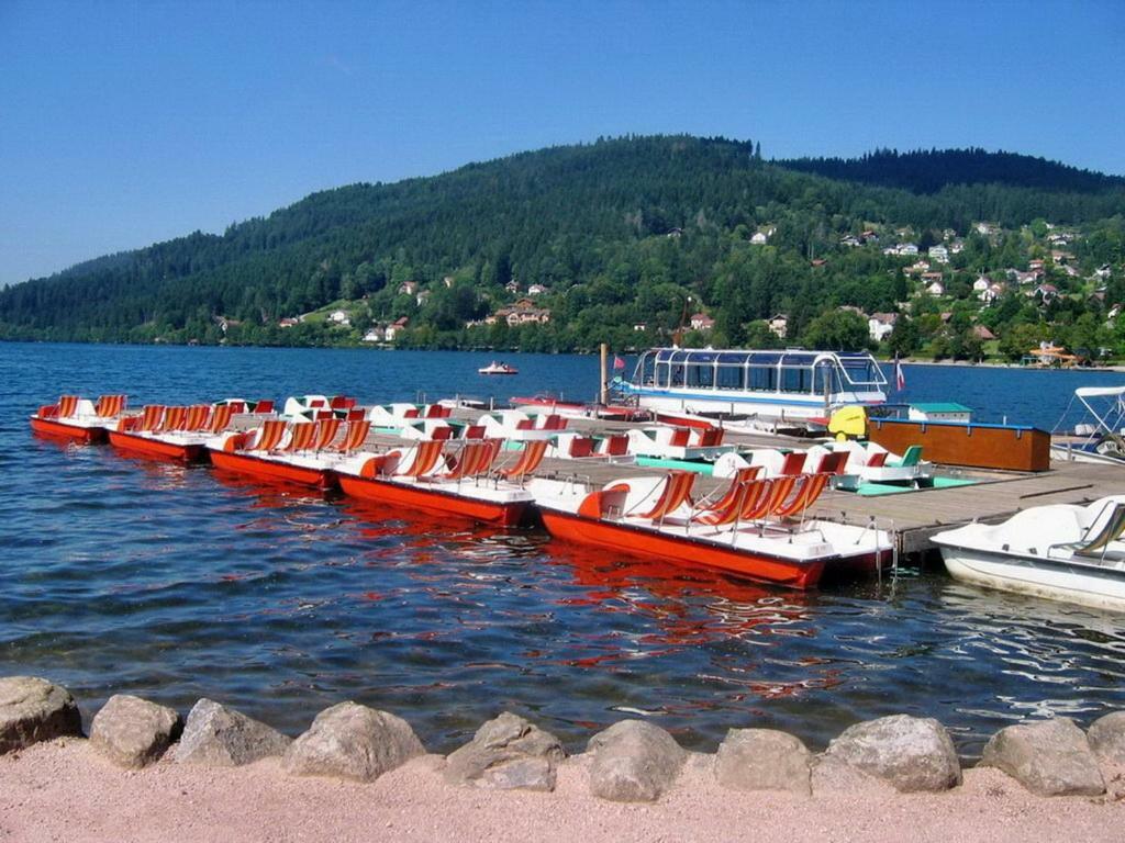 Les Chenes Rouges Apartment Gerardmer Ngoại thất bức ảnh