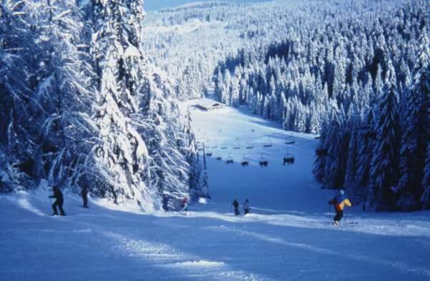 Les Chenes Rouges Apartment Gerardmer Ngoại thất bức ảnh