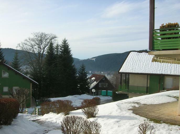 Les Chenes Rouges Apartment Gerardmer Ngoại thất bức ảnh