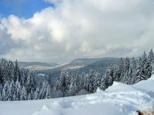 Les Chenes Rouges Apartment Gerardmer Ngoại thất bức ảnh